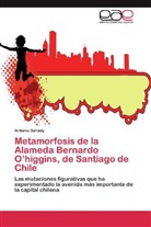 Antonio Sahady - Metamorfosis de la Alameda Bernardo O higgins, de Santiago de Chile