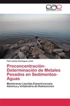Félix Calixto Domínguez Lledó - Preconcentración-Determinación de Metales Pesados en Sedimentos-Aguas