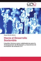 Raquel Montón-Molina - Hacia el Desarrollo Sostenible