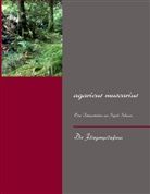 Die Fliegenpilzfrau, Sigrid Schwarz - agaricus muscarius