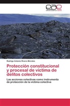 Rodrigo Antonio Rivera Morales - Protección constitucional y procesal de víctima de delitos colectivos