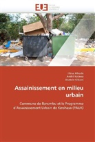 COLLECTIF, Andr Katawa, André Katawa, Anatole Kifuani, Thin Mbodo, Thina Mbodo - Assainissement en milieu urbain