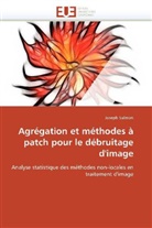 Joseph Salmon, Salmon-J - Agregation et methodes a patch