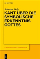 Sebastian Maly - Kant über die symbolische Erkenntnis Gottes