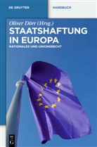 Olive Dörr, Oliver Dörr - Staatshaftung in Europa
