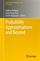 Andrew Barbour, Hock Peng Chan, Hoc Peng Chan, Hock Peng Chan, David Siegmund - Probability Approximations and Beyond