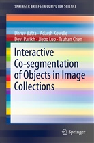 Dhru Batra, Dhruv Batra, Tsuhan Chen, Adars Kowdle, Adarsh Kowdle, Jiebo Luo... - Interactive Co-segmentation of Objects in Image Collections