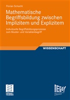 Florian Schacht - Mathematische Begriffsbildung zwischen Implizitem und Explizitem