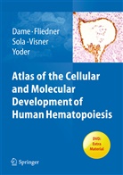 Christof Dame, Theodor M. Fliedner, Theodo M Fliedner, Theodor M Fliedner, Martha Sola-Visner, Martha Sola-Visner et al... - Atlas of the Cellular and Molecular Development of Human Hematopoiesis, w. DVD