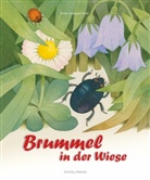 Hilde Heyduck-Huth - Brummel in der Wiese