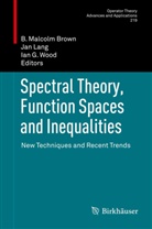 B. Malcolm Brown, Ian G Wood, Ja Lang, Jan Lang, Ian G. Wood - Spectral Theory, Function Spaces and Inequalities