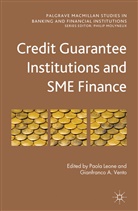 Paol Leone, Paola Leone, Paola Vento Leone, LEONE PAOLA VENTO GIANFRANCO A, Gianfranco A Vento, Gianfranco A. Vento... - Credit Guarantee Institutions and Sme Finance