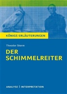 Theodor Storm - Theodor Storm 'Der  Schimmelreiter'