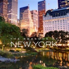 Charles J Ziga, Charles J. Ziga - Seasons of New York