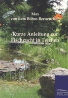 Max Von Dem Borne, Max von dem Borne-Bernenchen, Max von dem Borne-Bernenchen - Kurze Anleitung zur Fischzucht in Teichen