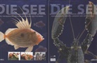 Thomas Ruhl - Die See: Das Culinarium der Meeresfische. Meeresfrüchte, 2 Bde.