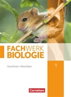 Andreas Marquarth, Anke Pohlmann, Anke Form, Ud Hampl, Udo Hampl, Mariann Herrmann... - FachWerk Biologie, Realschule Nordrhein-Westfalen - 1: Fachwerk Biologie - Nordrhein-Westfalen 2013 - Band 1