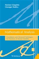 Marian Giaquinta, Mariano Giaquinta, Giuseppe Modica - Mathematical Analysis