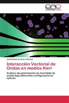 Joel Humberto Castro Chacón - Interacción Vectorial de Ondas en medios Kerr