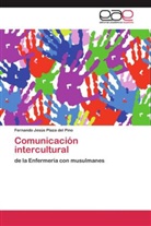 Dr. Fernando Jesús Plaza del Pino, Fernando J. Plaza del Pino, Fernando Jesús Plaza del Pino - Comunicación intercultural