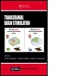 Carlo (EDT)/ Paulus Miniussi, Carlo Paulus Miniussi, Prof. Carlo Paulus Miniussi, MINIUSSI CARLO PAULUS WALTER ROS, Carlo Miniussi, Prof. Carlo Miniussi... - Transcranial Brain Stimulation