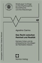 Agostino Carrino - Das Recht zwischen Reinheit und Realität