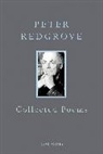 Peter Redgrove, Redgrove Peter - Collected Poems