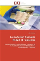 Abir Tadmouri, Tadmouri-A - La mutation humaine r482x et l