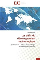 Fatima Roumate, Roumate-F - Les defis du developpement