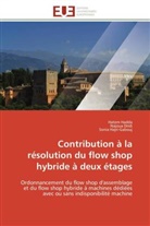 Collectif, Najou Dridi, Najoua Dridi, Hate Hadda, Hatem Hadda, Sonia Hajri-Gabouj - Contribution a la resolution du