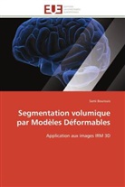 Sami Bourouis, Bourouis-S - Segmentation volumique par