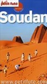 Soudan : 2011-2012