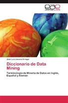 José Luis Llavona Arregui - Diccionario de Data Mining