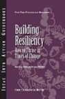 Center for Creative Leadership, Center for Creative Leadership (CCL), Mary Lynn Pulley, Michael Wakefield - Building Resiliency: How to Thrive in Times of Change