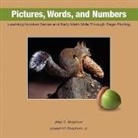 Jillian C. Strayhorn, Joseph M. Strayhorn - Pictures, Words, and Numbers: Learning Number Sense and Early Math Skills Through Page-Finding