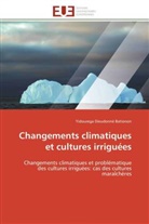 Yidourega Dieudonné Bationon, Bationon-Y - Changements climatiques et