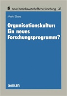 Mark Ebers - Organisationskultur: Ein neues Forschungsprogramm?