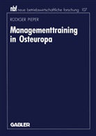 R¿diger Pieper, Rüdiger Pieper - Managementtraining in Osteuropa