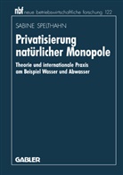 Sabine Spelthahn - Privatisierung natürlicher Monopole