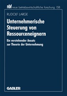 Rudolf Large, Rudolf O. Large - Unternehmerische Steuerung von Ressourceneignern