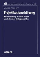 Volker Schultz - Projektkostenschätzung