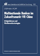 Stephan Popp - Multinationale Banken im Zukunftsmarkt VR China