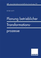 Peter Witt - Planung betrieblicher Transformationsprozesse