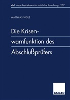 Matthias Wolz - Die Krisenwarnfunktion des Abschlußprüfers