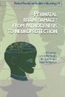Eugenio Mercuri, Evrad, Luca A. Ramenghi, Philippe Evrard, Ramenghi, RAMENGHI EVRARD... - PERINATAL BRAIN DAMAGE FROM PATHOGENESIS