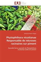 Mohamed Bechir Allagui, Allagui-M - Phytophthora nicotianae