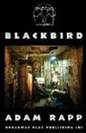 Adam Rapp - Blackbird