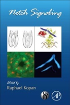 Raphael (EDT) Kopan, Raphael Kopan - Notch Signalling