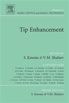 Satoshi Kawata, Vladimir M. Shalaev - Tip Enhancement