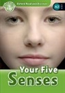 Robert Quinn, Quinn Robert - Your Five Senses